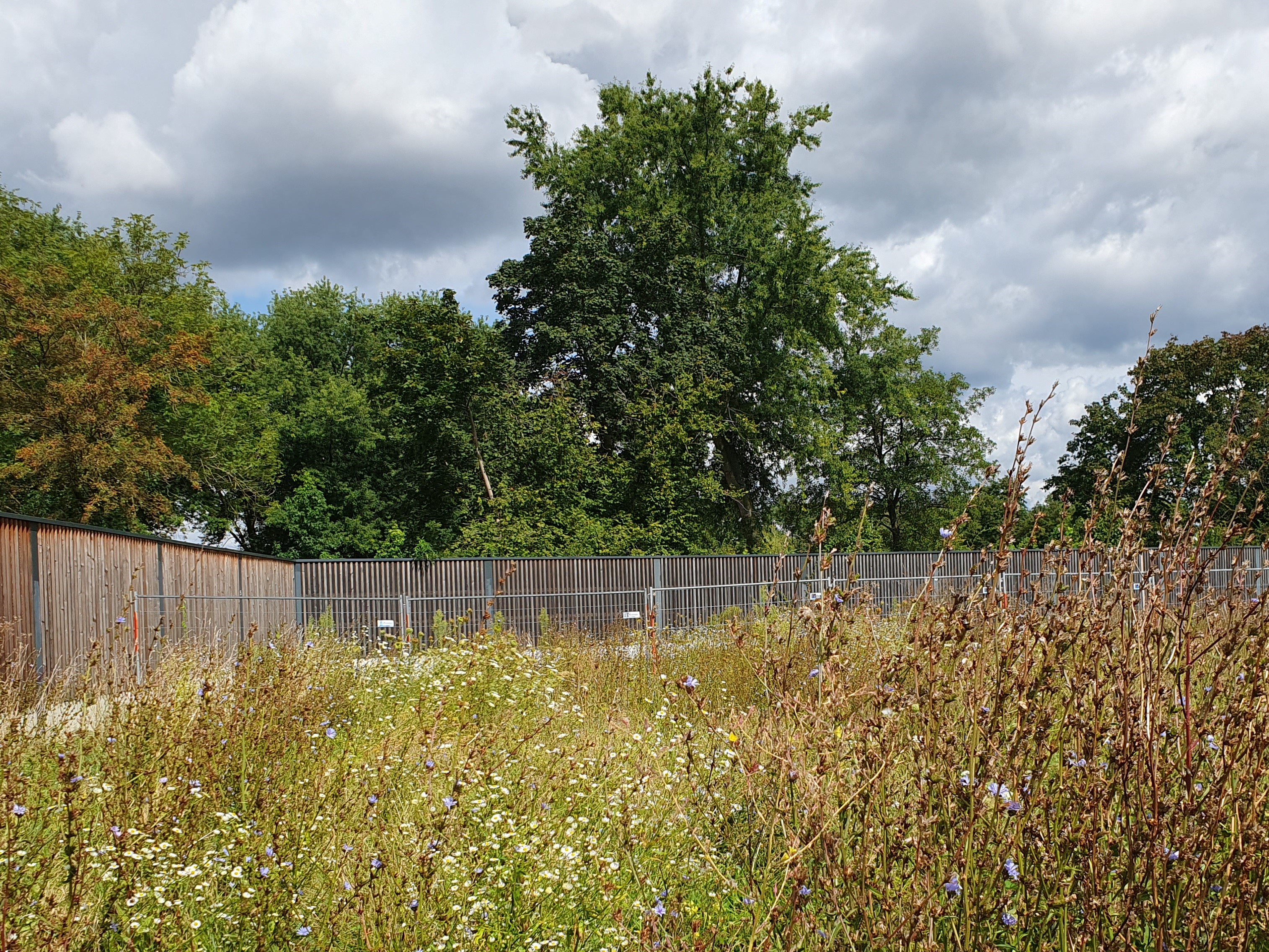 unbebaute Grundstücke im Kiefernweg