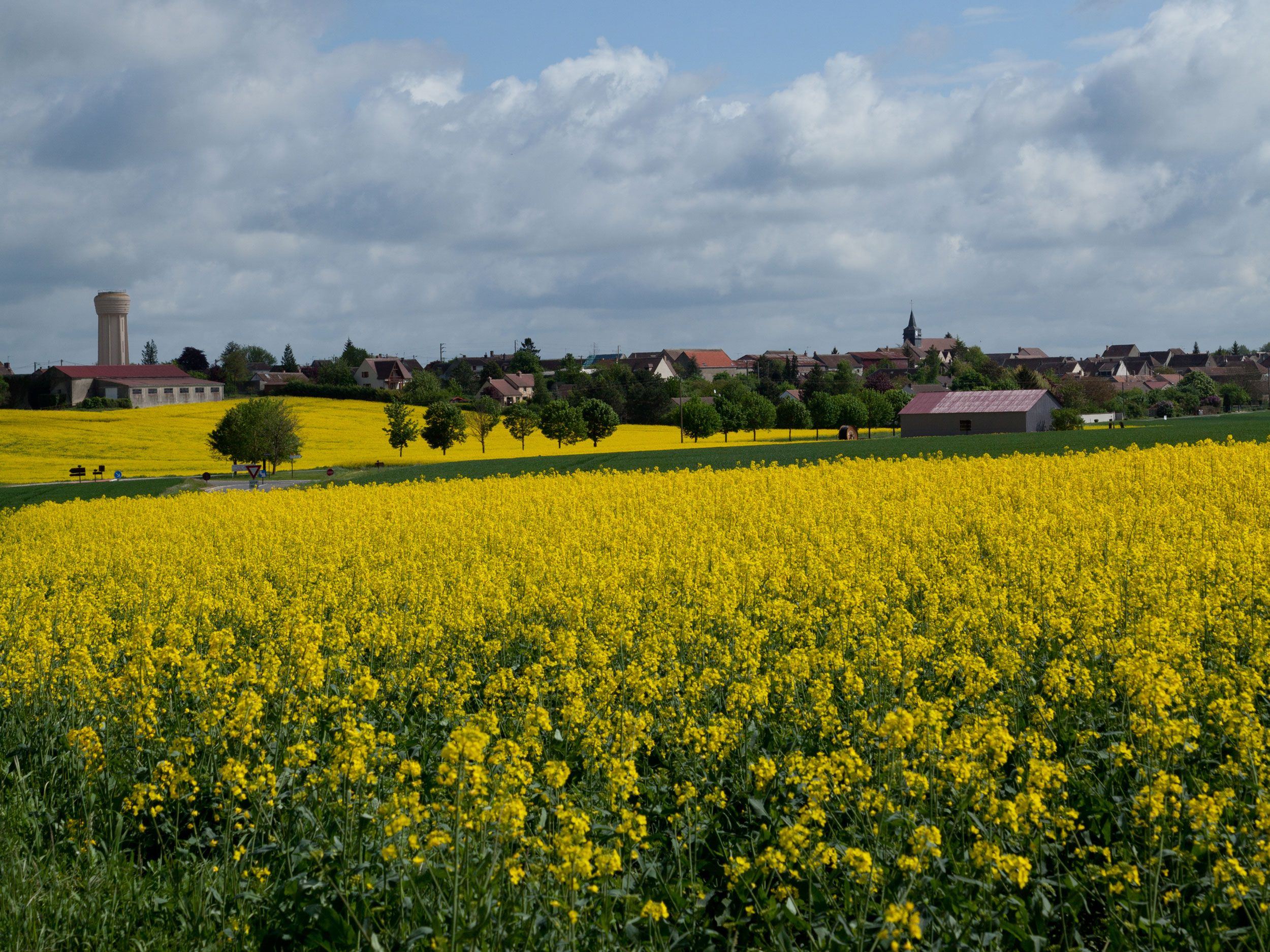 Rappsfeld in Bray Sur Seine